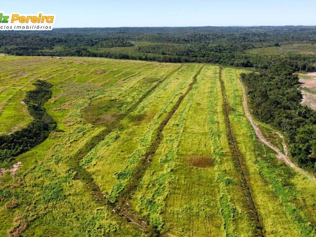 #3146 - Fazenda para Venda em Santa Maria do Tocantins - TO - 3