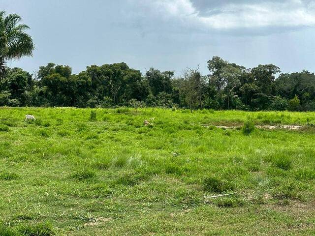 #3147 - Fazenda para Venda em Corumbá - MS - 3