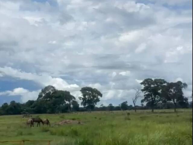 #3147 - Fazenda para Venda em Corumbá - MS - 1