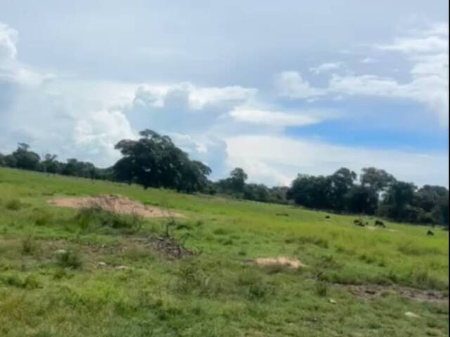 #3147 - Fazenda para Venda em Corumbá - MS - 2