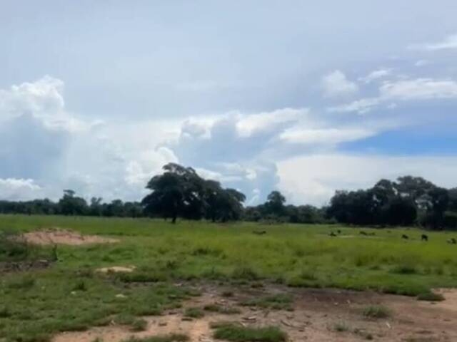 Fazenda para Venda em Corumbá - 4