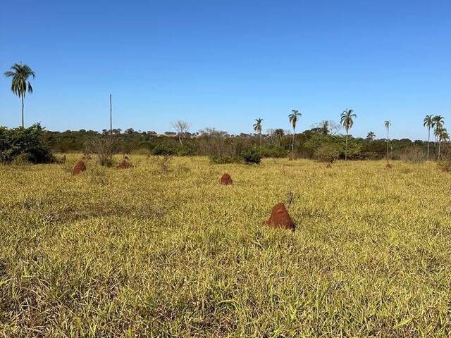 Fazenda para Venda em Caçu - 5