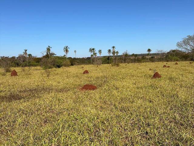 #3148 - Fazenda para Venda em Caçu - GO - 1