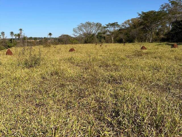 #3148 - Fazenda para Venda em Caçu - GO - 2