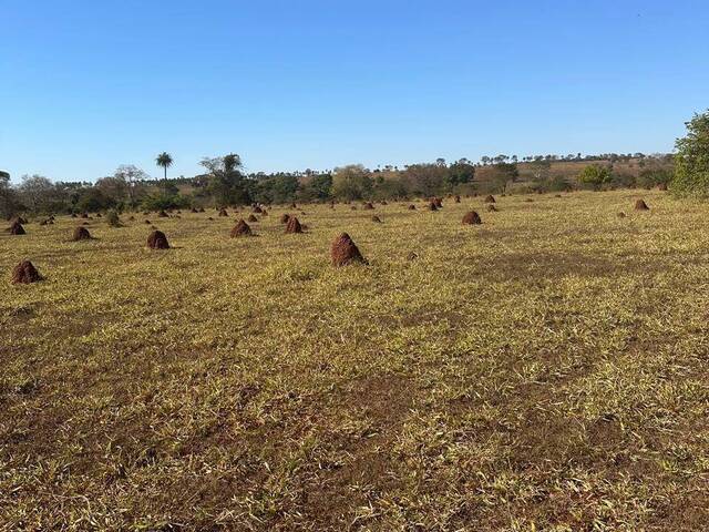Fazenda para Venda em Caçu - 4