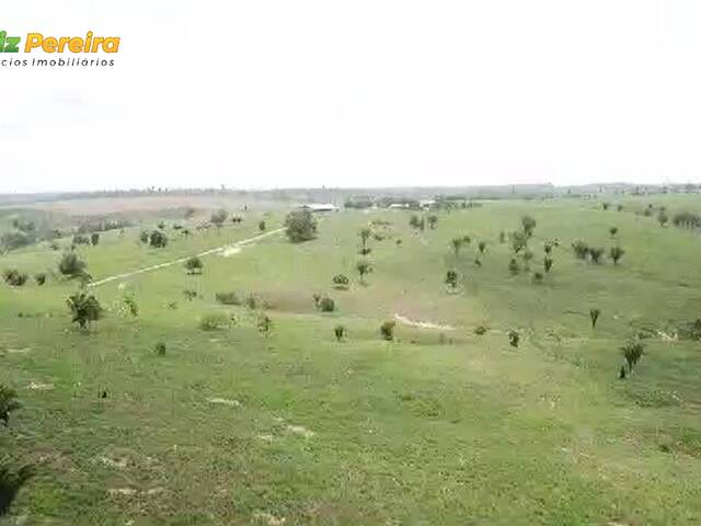 #3149 - Fazenda para Venda em Breu Branco - PA - 1