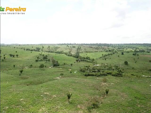 #3149 - Fazenda para Venda em Breu Branco - PA - 2