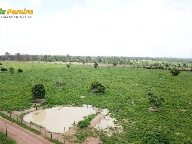 Fazenda para Venda em Breu Branco - 4