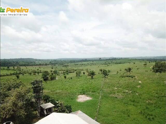 Fazenda para Venda em Breu Branco - 5