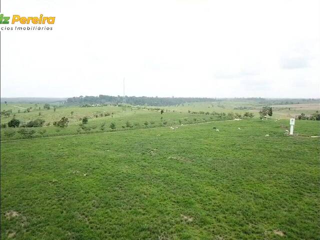 #3149 - Fazenda para Venda em Breu Branco - PA - 3