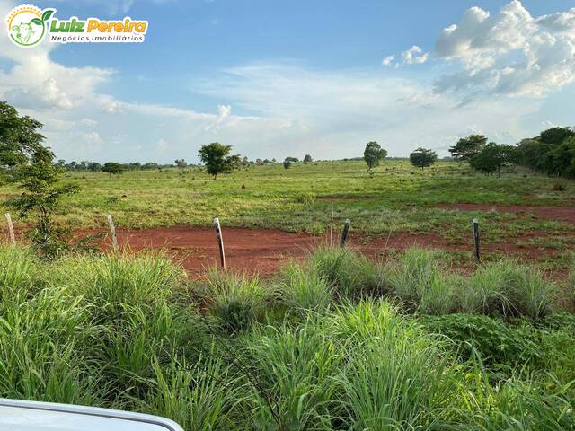 #3151 - Fazenda para Venda em Conceição do Araguaia - PA - 1