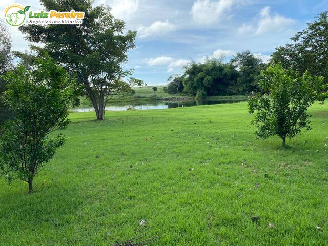 Fazenda para Venda em Conceição do Araguaia - 4