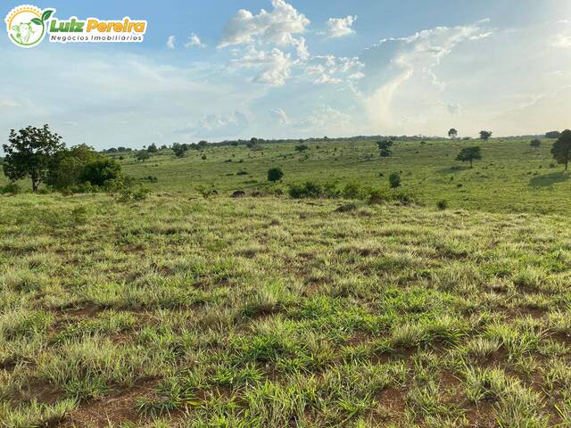 #3151 - Fazenda para Venda em Conceição do Araguaia - PA - 2