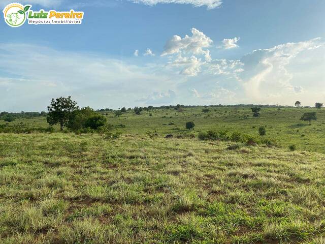 #3151 - Fazenda para Venda em Conceição do Araguaia - PA - 3