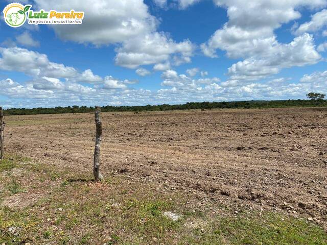 #3150 - Chácara para Venda em Redenção - PA - 1