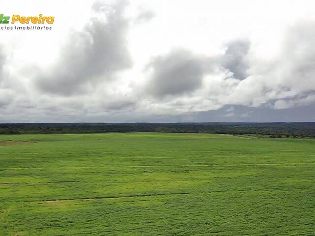 #3152 - Fazenda para Venda em Caxias - MA - 1
