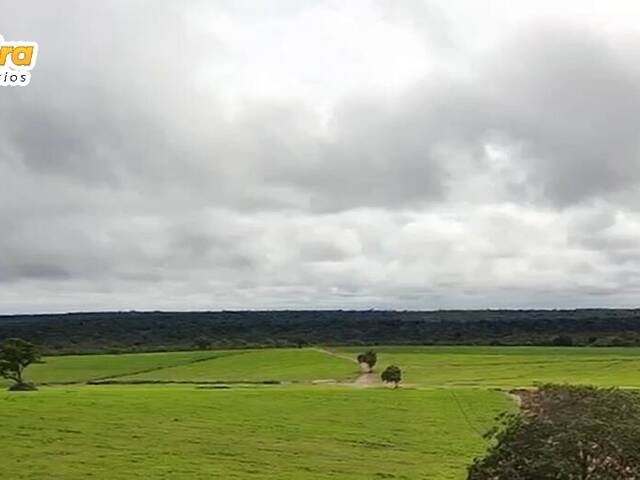 #3152 - Fazenda para Venda em Caxias - MA - 2