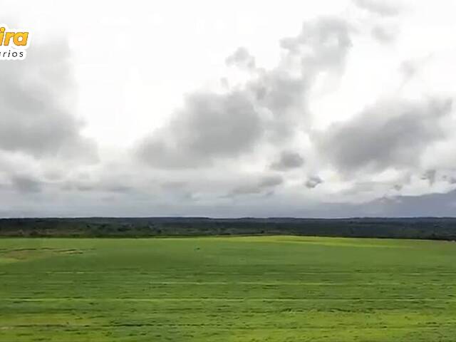 Fazenda para Venda em Caxias - 4