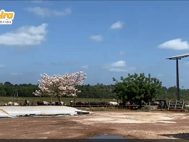 #3128 - Fazenda para Venda em Baião - PA - 1