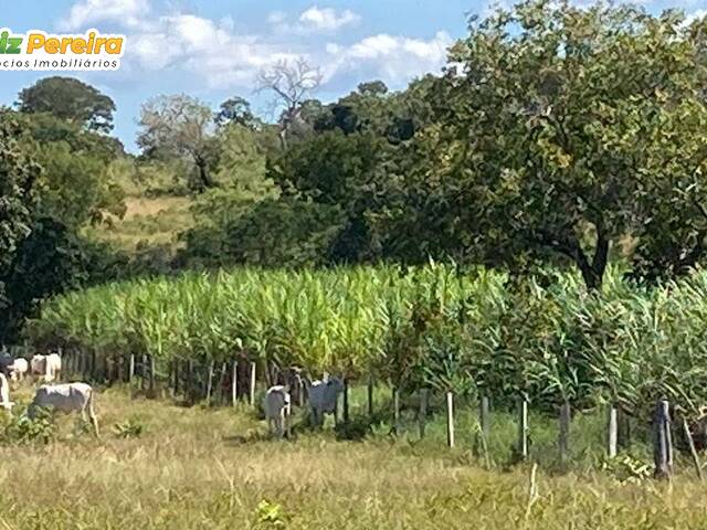 #3154 - Fazenda para Venda em Cuiabá - MT - 2
