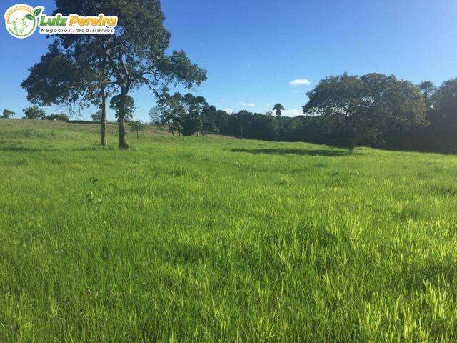 #3154 - Fazenda para Venda em Cuiabá - MT - 1