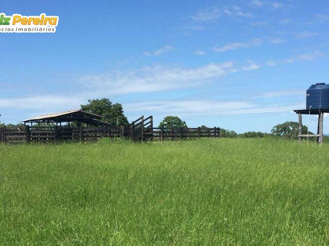 Fazenda para Venda em Cuiabá - 5