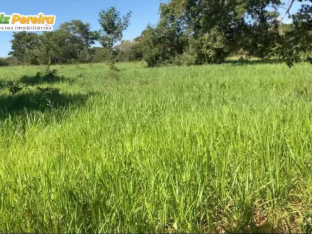 Fazenda para Venda em Cuiabá - 4
