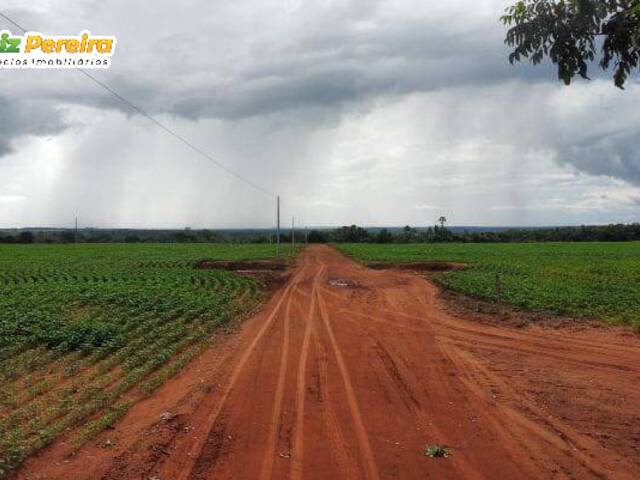 Fazenda para Venda em Barra do Ouro - 4
