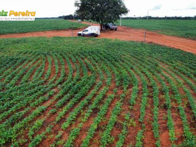 #3156 - Fazenda para Venda em Barra do Ouro - TO - 1