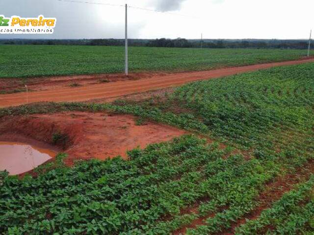 Fazenda para Venda em Barra do Ouro - 5