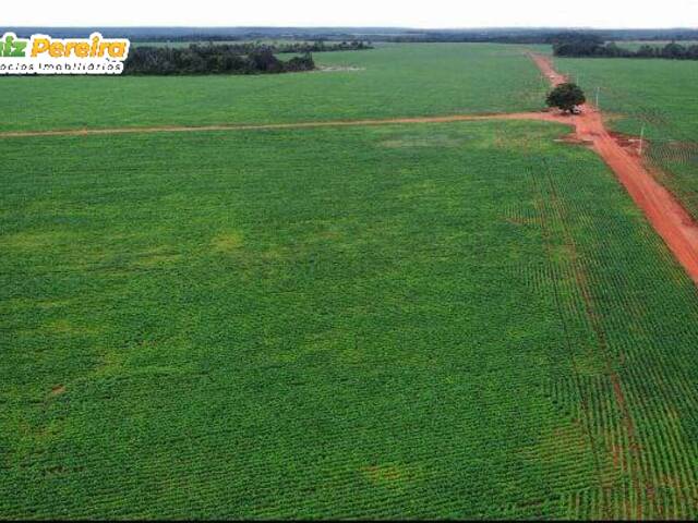 #3156 - Fazenda para Venda em Barra do Ouro - TO - 3