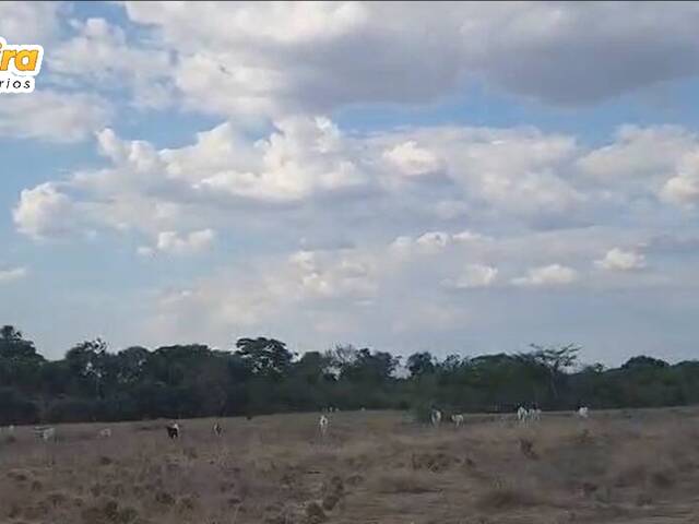 #3159 - Fazenda para Venda em Natividade - TO - 3