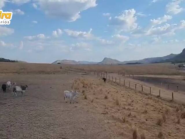 Fazenda para Venda em Natividade - 4
