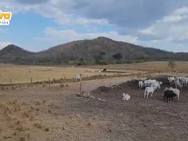 #3159 - Fazenda para Venda em Natividade - TO - 1
