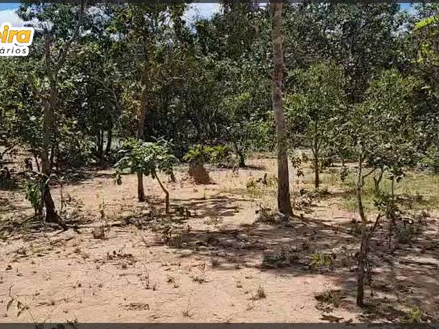 Fazenda para Venda em São Valério da Natividade - 4