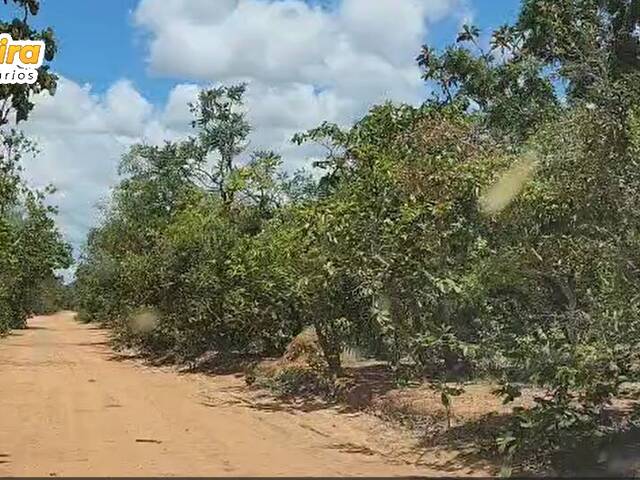 Fazenda para Venda em São Valério da Natividade - 5