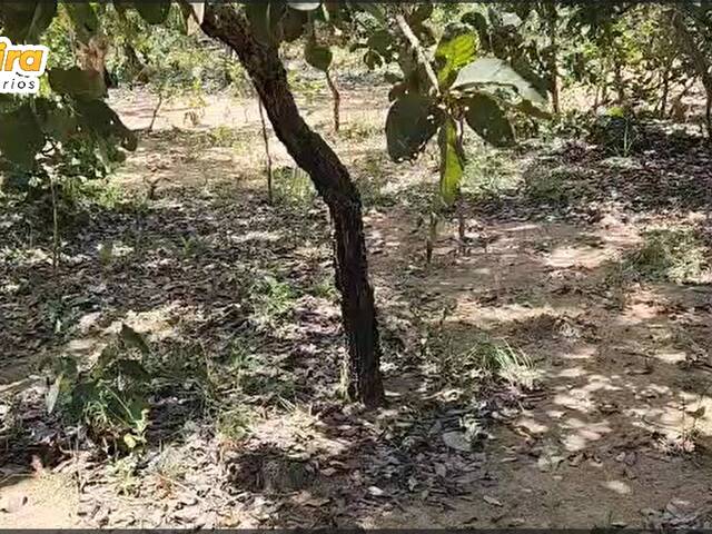 #3160 - Fazenda para Venda em São Valério da Natividade - TO - 2