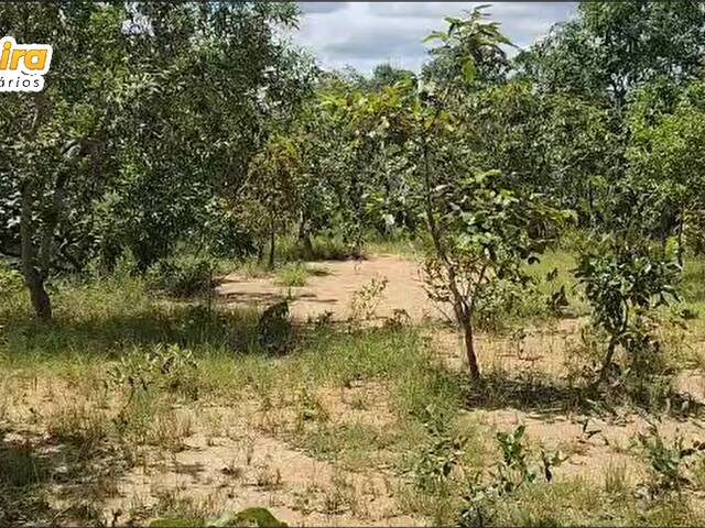 #3160 - Fazenda para Venda em São Valério da Natividade - TO - 1