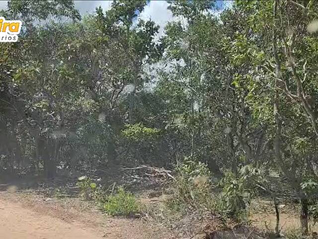 #3160 - Fazenda para Venda em São Valério da Natividade - TO - 3