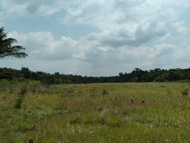 #3030 - Fazenda para Venda em Baião - PA - 3