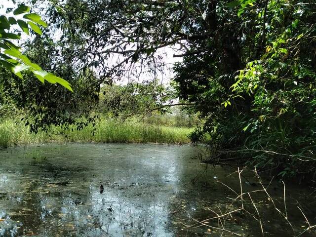 #3030 - Fazenda para Venda em Baião - PA - 2