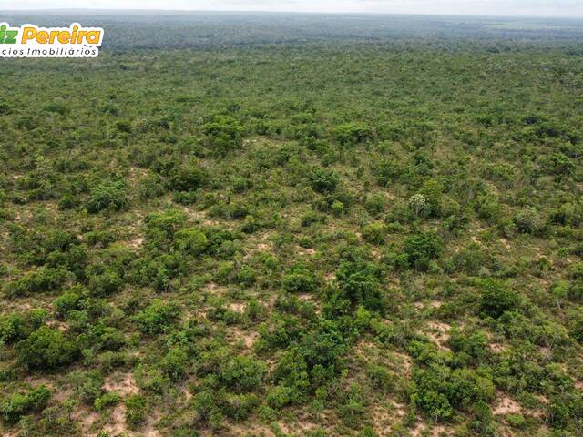 Fazenda para Venda em Palmeirante - 4