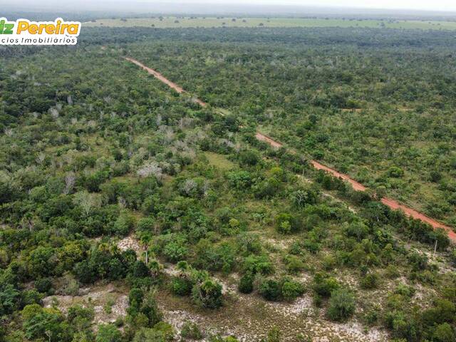 #3162 - Fazenda para Venda em Palmeirante - TO - 3