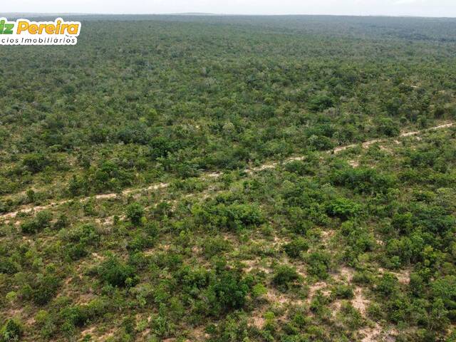 #3162 - Fazenda para Venda em Palmeirante - TO - 2