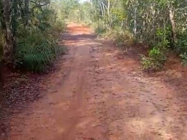 Fazenda para Venda em Palmeirante - 5