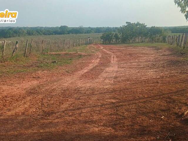 Fazenda para Venda em Wanderlândia - 5