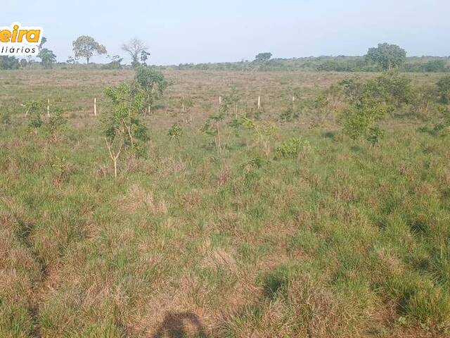 #3163 - Fazenda para Venda em Wanderlândia - TO - 2
