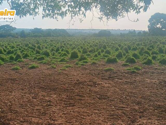 Fazenda para Venda em Wanderlândia - 4