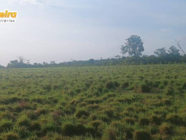 #3163 - Fazenda para Venda em Wanderlândia - TO - 3