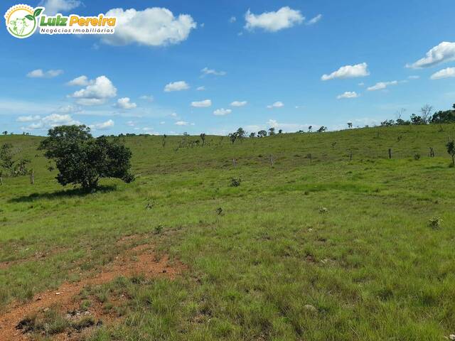 #3163 - Fazenda para Venda em Wanderlândia - TO - 1